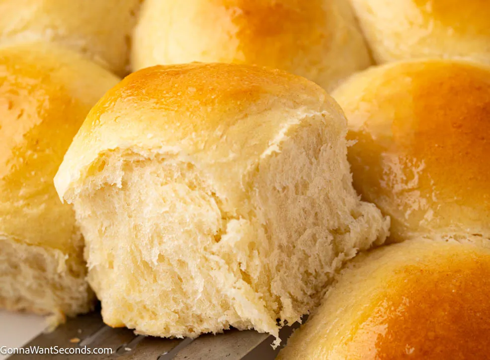 Quick Dinner Rolls