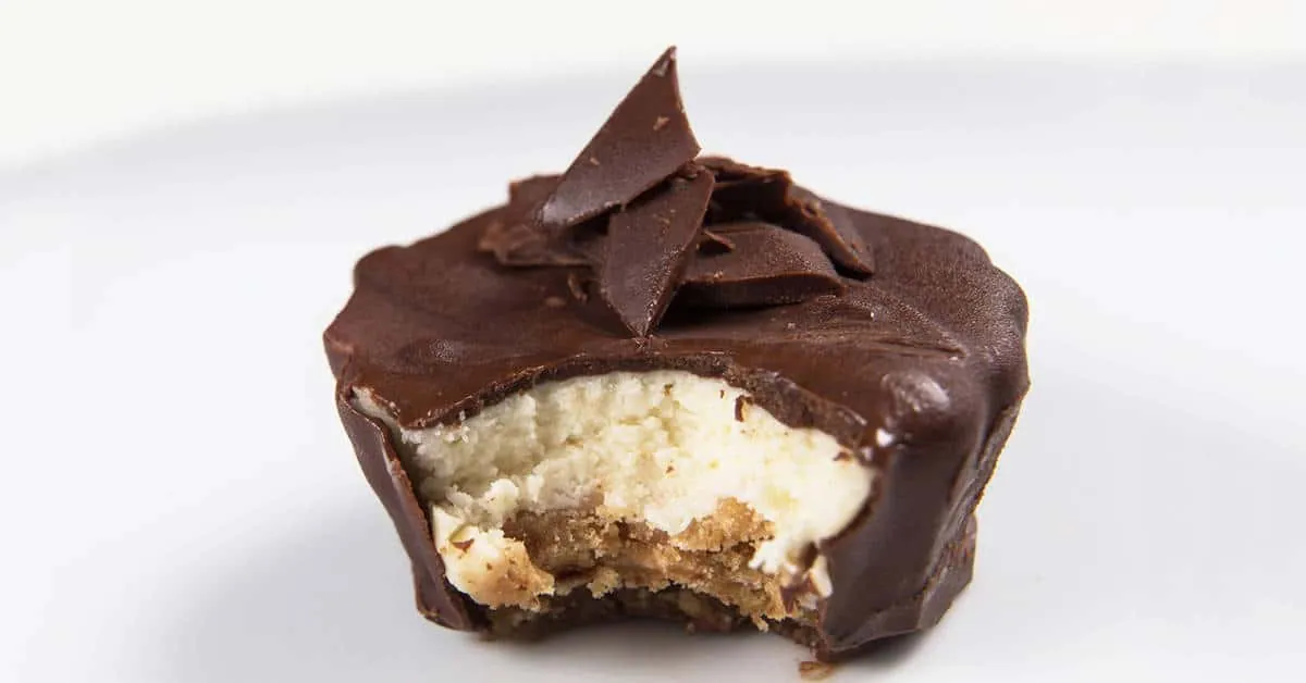 Instant Pot Chocolate Cheesecake Bites