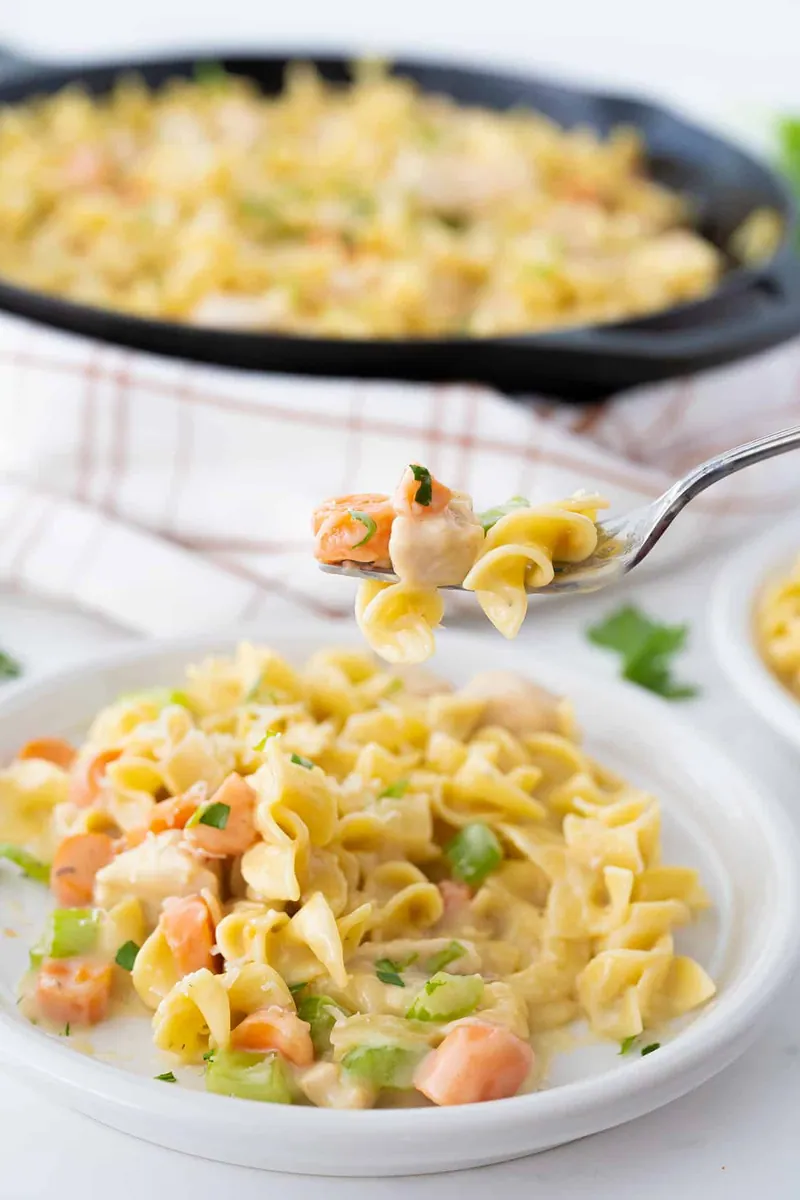 Quick Chicken and Noodles