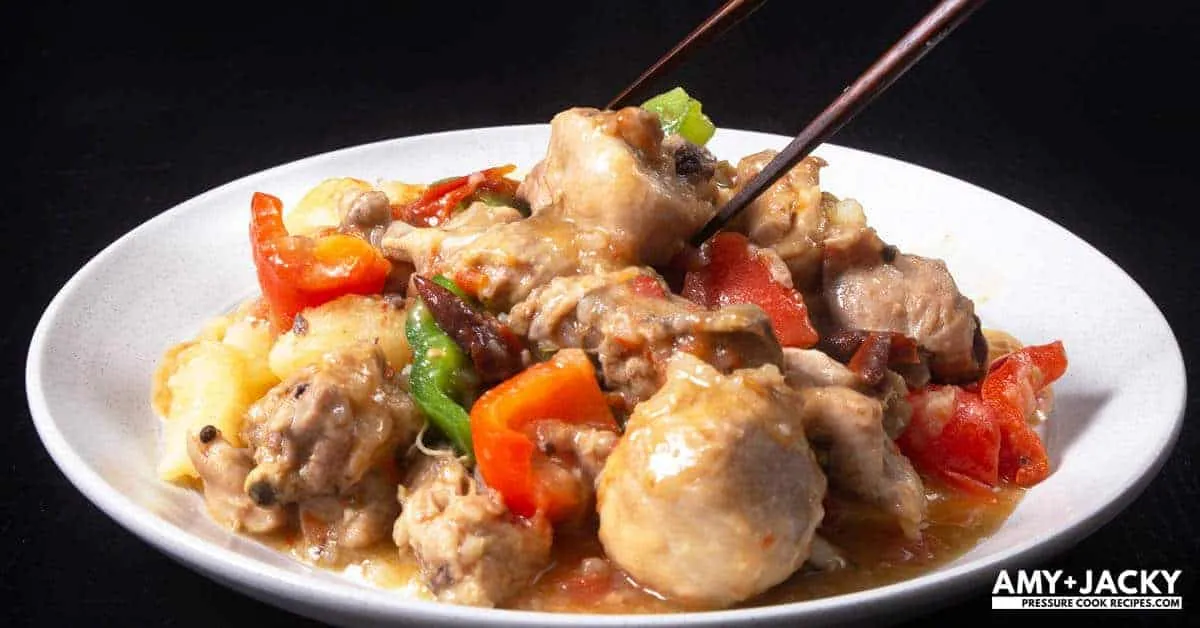 Instant Pot Chinese Chicken Stew
