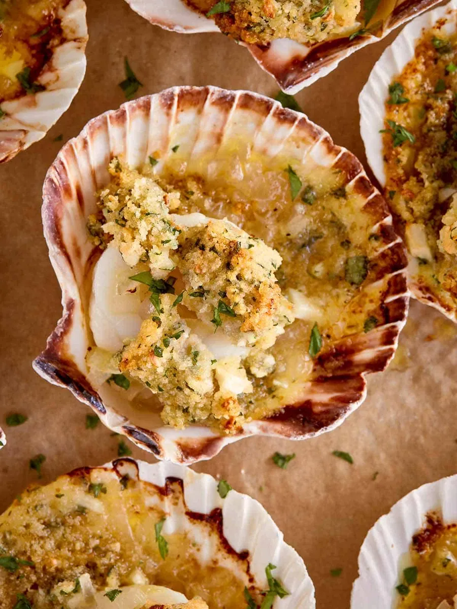 Baked Scallops in Shells