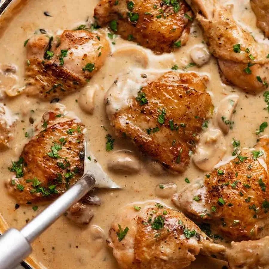 Chicken Fricassée