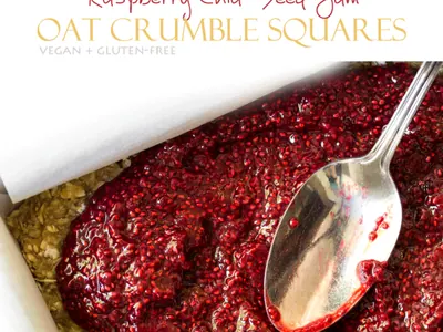 Raspberry Oat Crumble Squares