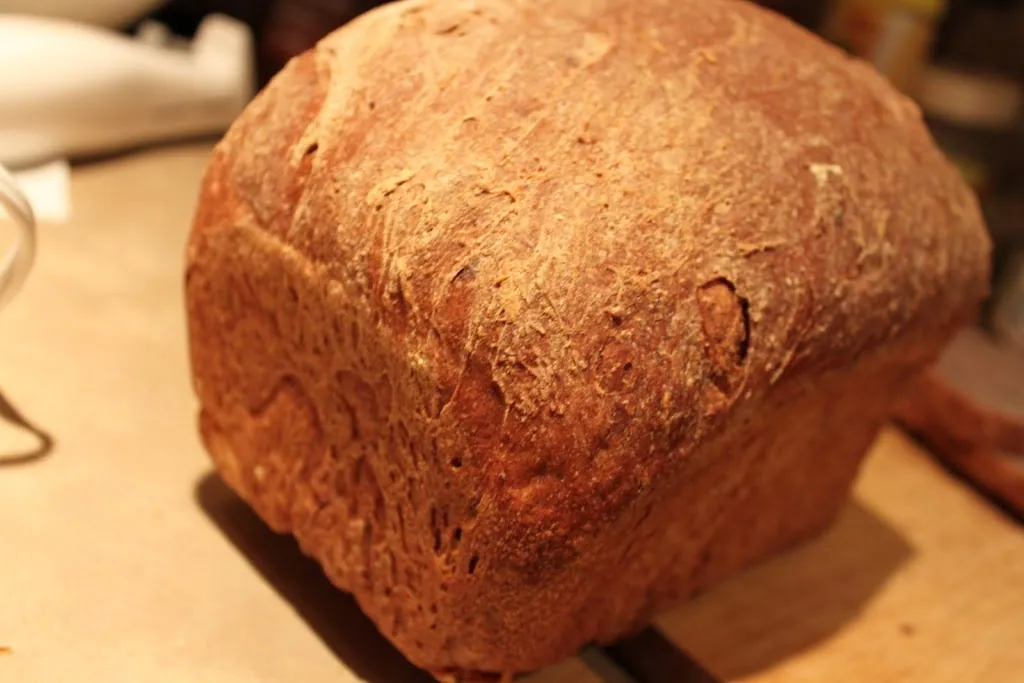 Blueberry Apple Wheat Bread