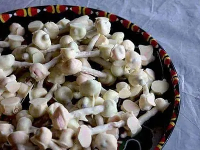 Pretzel Marshmallow Bones