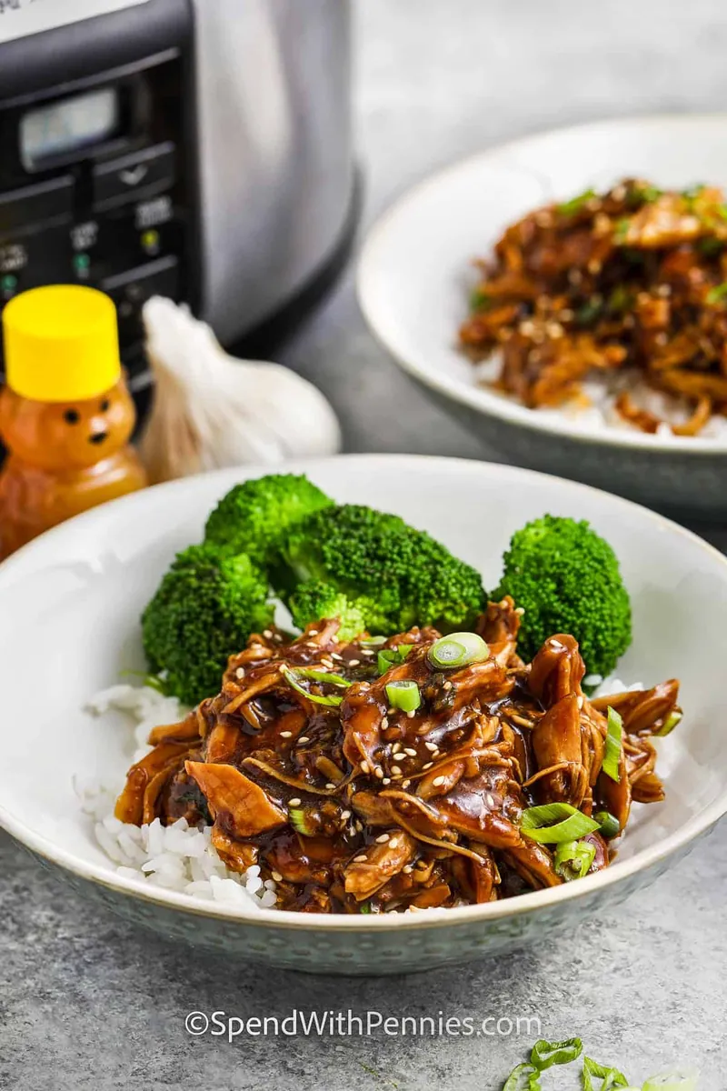 Slow Cooker Honey Garlic Chicken (6 servings)
