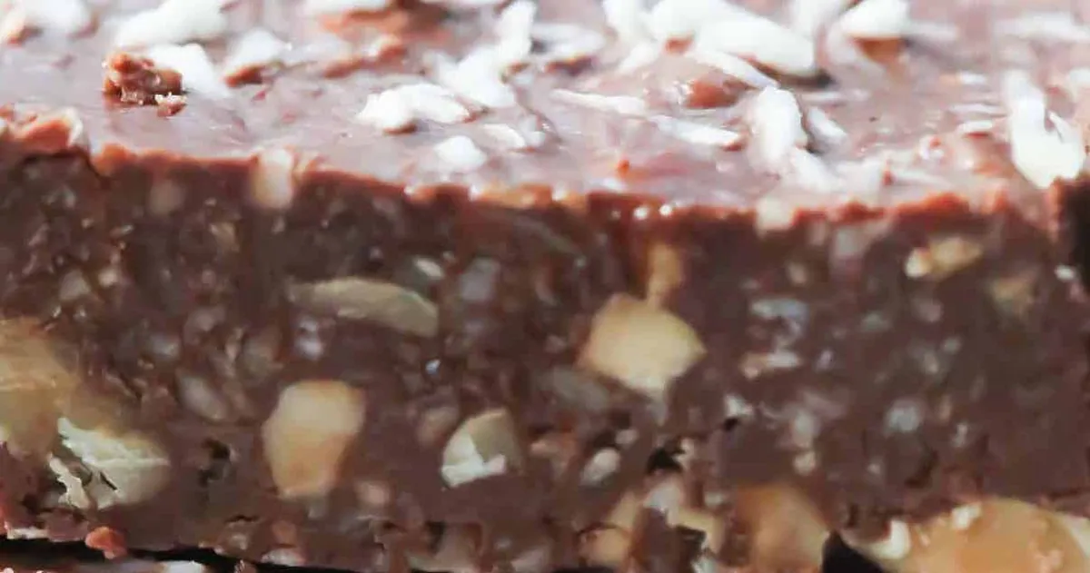 No-Bake Chocolate Coconut Bars