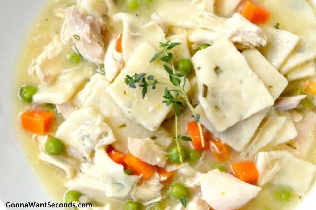 Southern Chicken and Dumplings